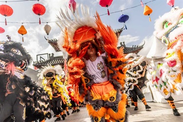 Jing Yee Lion Dance lion shot at Cabramatta Moon Festival 2025 photo by Ken Leanfore.