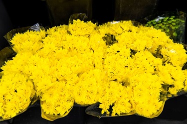 Bouquets of yellow flowers at Cabramatta Flower Spot in Dutton Plaza