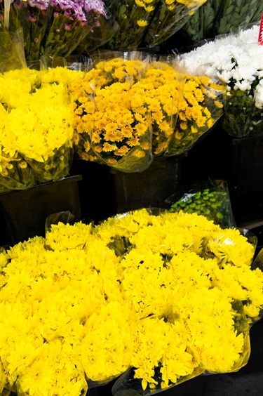 Bouquets of yellow flowers at Cabramatta Flower Spot in Dutton Plaza
