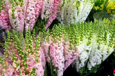 Bouquets of pink and white flowers at Cabramatta Flower Spot in Dutton Plaza