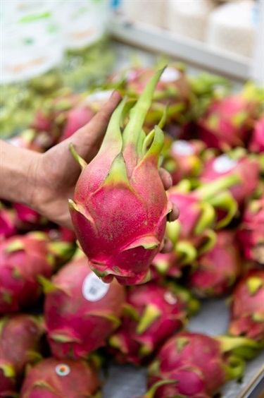 Hand holding a dragon fruit in front of a supermarket shelf full of dragon fruit at Number One Fruit Shop in Dutton Plaza