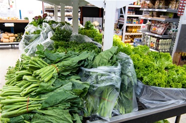 Supermarket shelves displaying Chinese broccoli and French lettuce at Sanfa Supermarket in Dutton Plaza