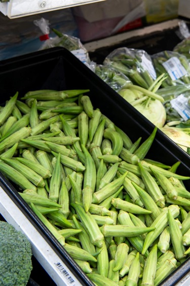 Supermarket shelf full of okras at Sanfa Supermarket in Dutton Plaza