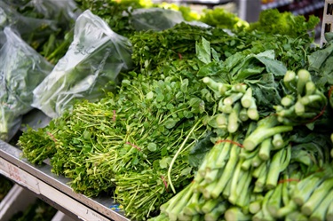 Supermarket shelf displaying coriander and Chinese broccoli at Sanfa Supermarket in Dutton Plaza