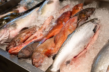 Fresh fish for sale at Viet Hoa Fish Market in Dutton Plaza