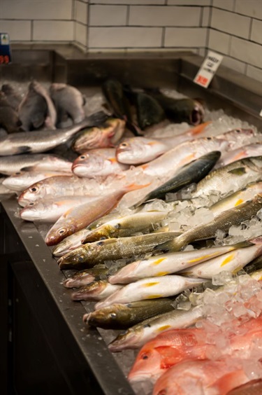 Fresh fish for sale at Viet Hoa Fish Market in Dutton Plaza