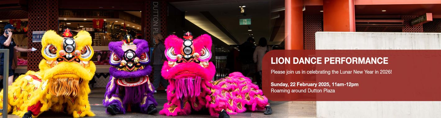 LNY LION DANCE PERFORMANCE SLIDER.JPG
